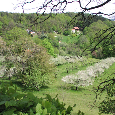 Gralis Bild