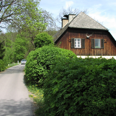 Gralis Bild