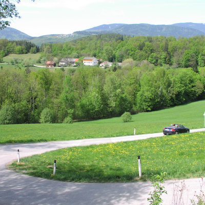 Gralis Bild