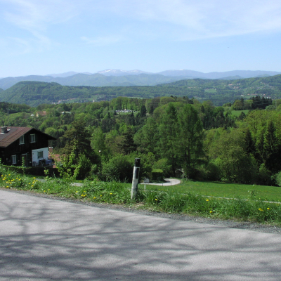 Gralis Bild