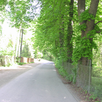 Gralis Bild