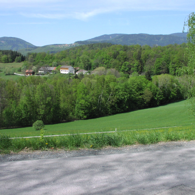 Gralis Bild