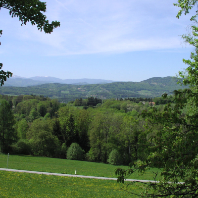 Gralis Bild