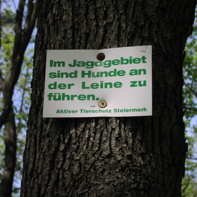 Gralis Bild