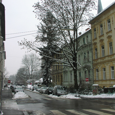 Gralis Bild