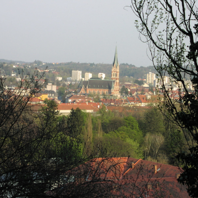 Gralis Bild