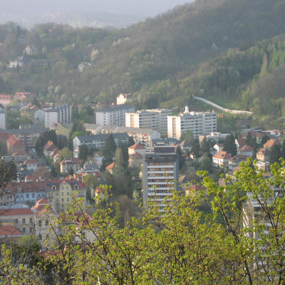 Gralis Bild