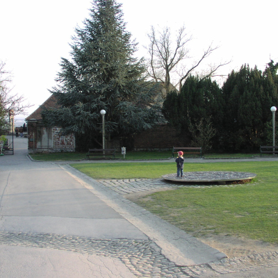 Gralis Bild