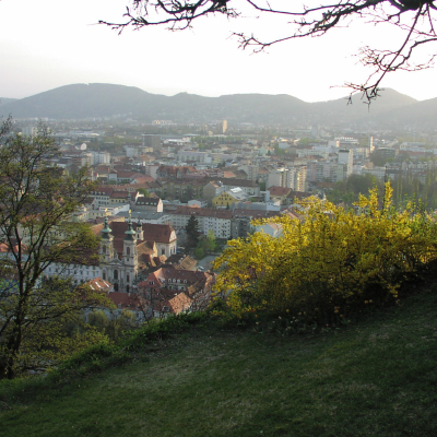 Gralis Bild