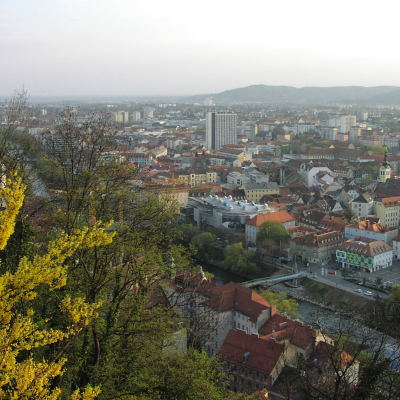 Gralis Bild