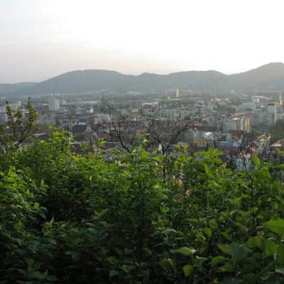 Gralis Bild