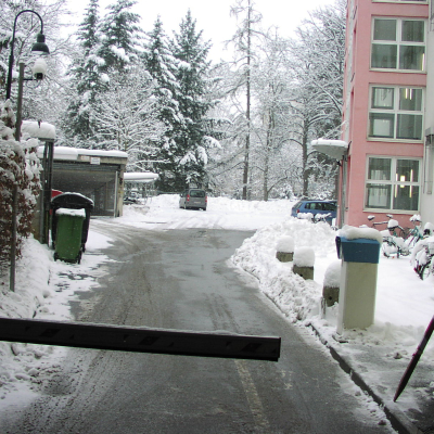 Gralis Bild