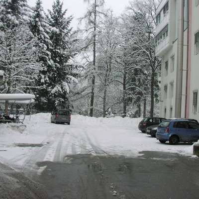 Gralis Bild