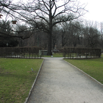 Gralis Bild