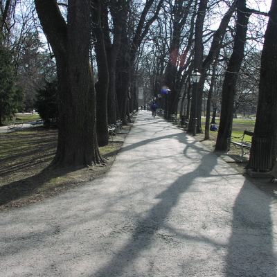 Gralis Bild