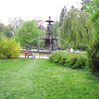 Gralis Bild