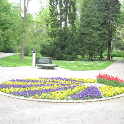 Gralis Bild
