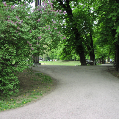 Gralis Bild