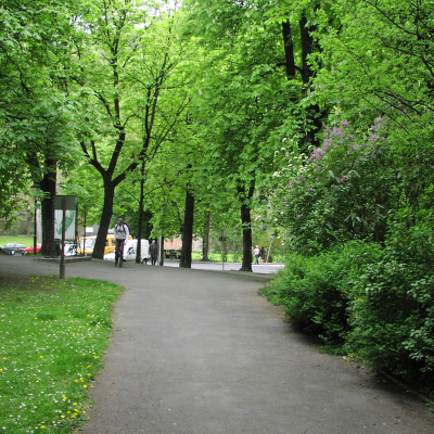 Gralis Bild