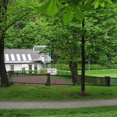 Gralis Bild
