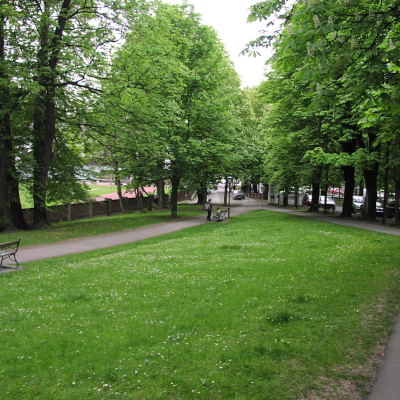 Gralis Bild