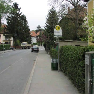 Gralis Bild