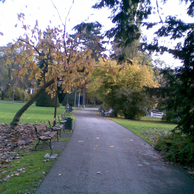 Gralis Bild