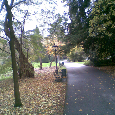 Gralis Bild