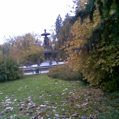 Gralis Bild
