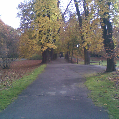 Gralis Bild