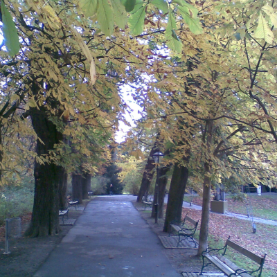 Gralis Bild