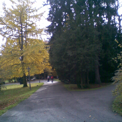 Gralis Bild