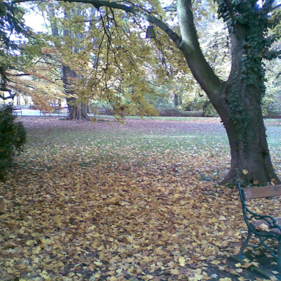 Gralis Bild