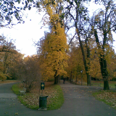 Gralis Bild