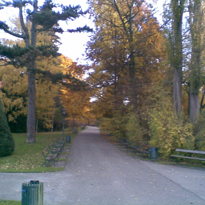 Gralis Bild