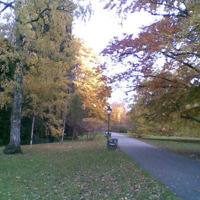Gralis Bild