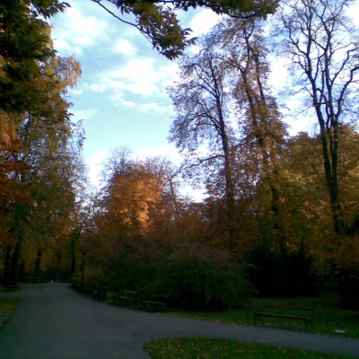 Gralis Bild