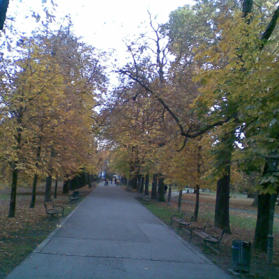 Gralis Bild
