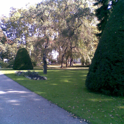 Gralis Bild