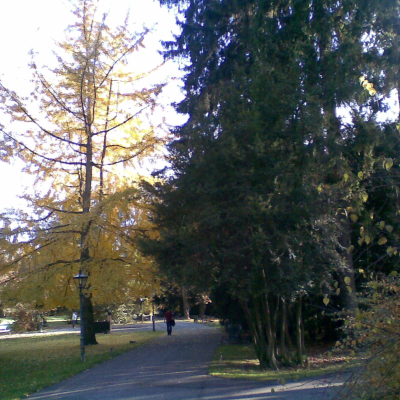 Gralis Bild
