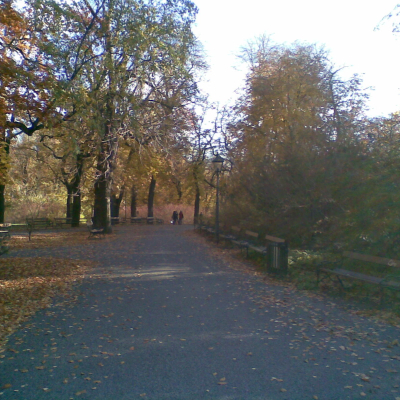 Gralis Bild