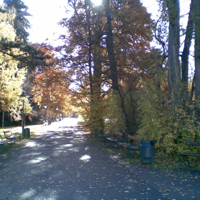 Gralis Bild