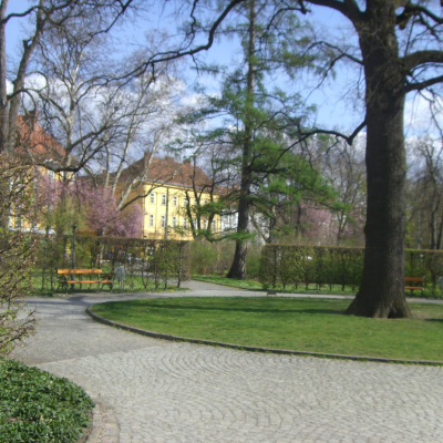 Gralis Bild