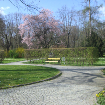 Gralis Bild