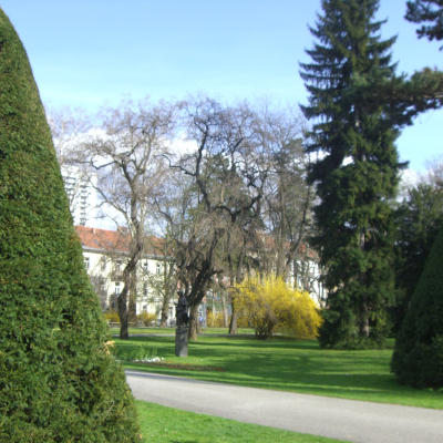 Gralis Bild