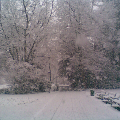 Gralis Bild