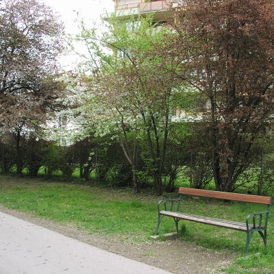 Gralis Bild