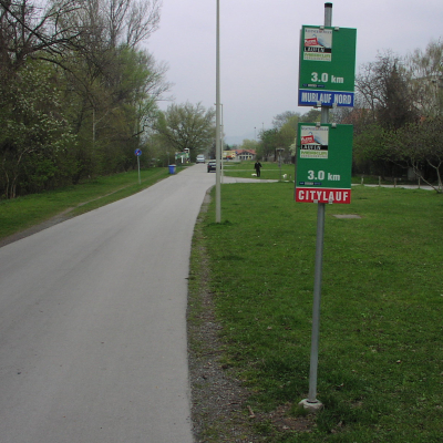 Gralis Bild