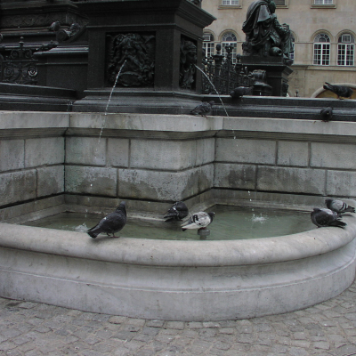 Gralis Bild