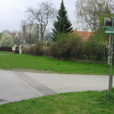 Gralis Bild